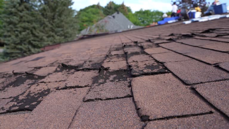 Best Gutter Installation and Repair  in Rockford, MN
