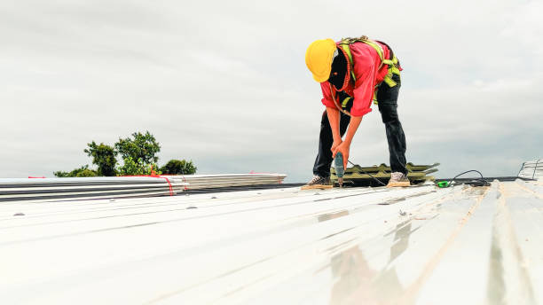 Best Solar Panel Roofing Installation  in Rockford, MN