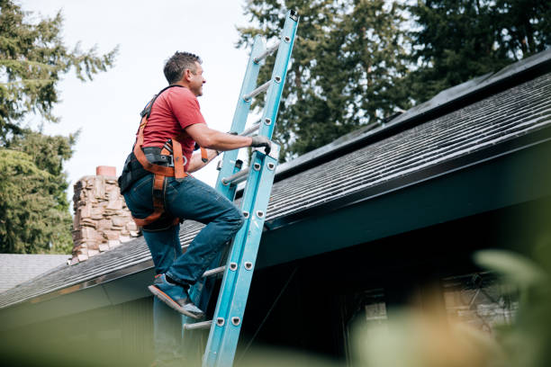 Roof Coating Services in Rockford, MN