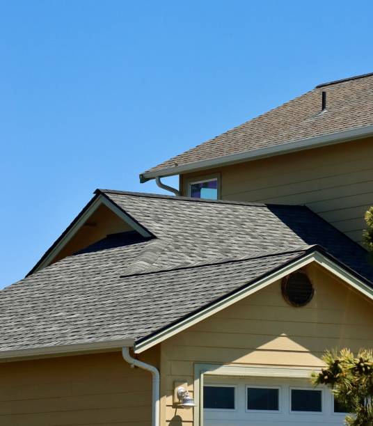 Best Sheet Metal Roofing  in Rockford, MN